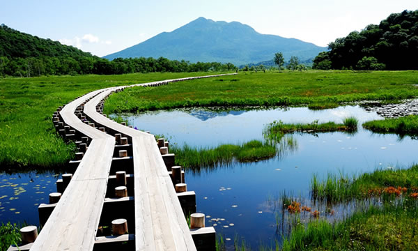 尾瀬国立公園